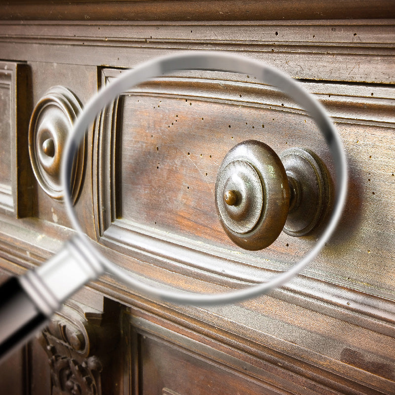 Ecco come eliminare i Tarli dai tuoi mobili!