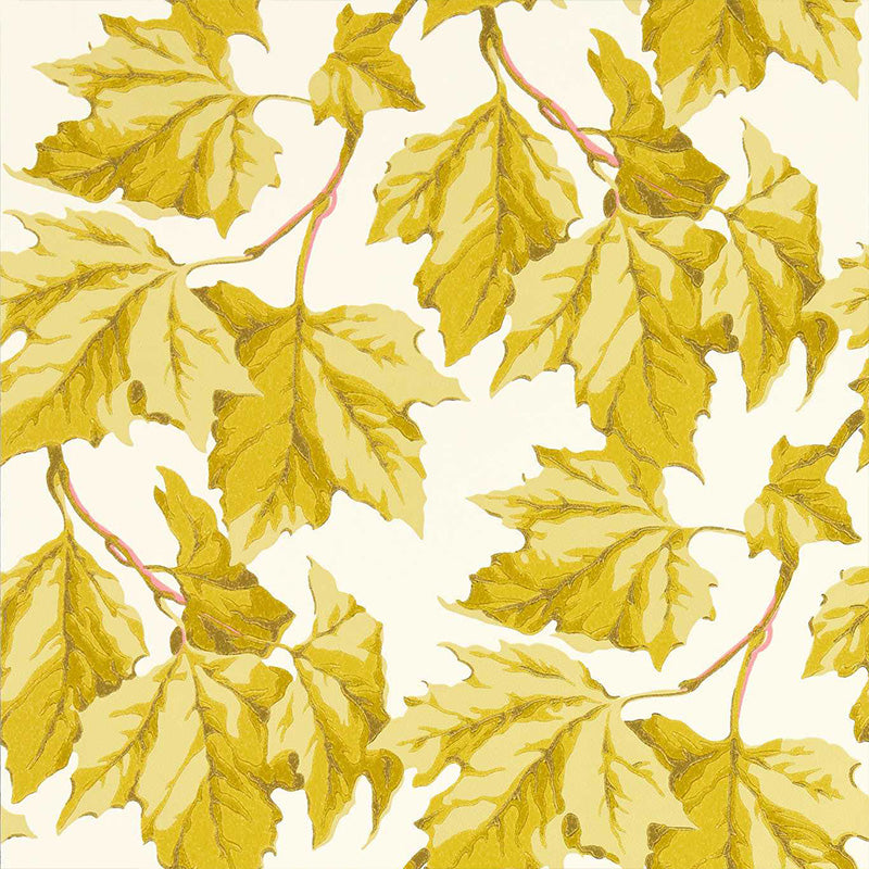 Carta da Parati “DAPPLED LEAF CITRINE” | HARLEQUIN