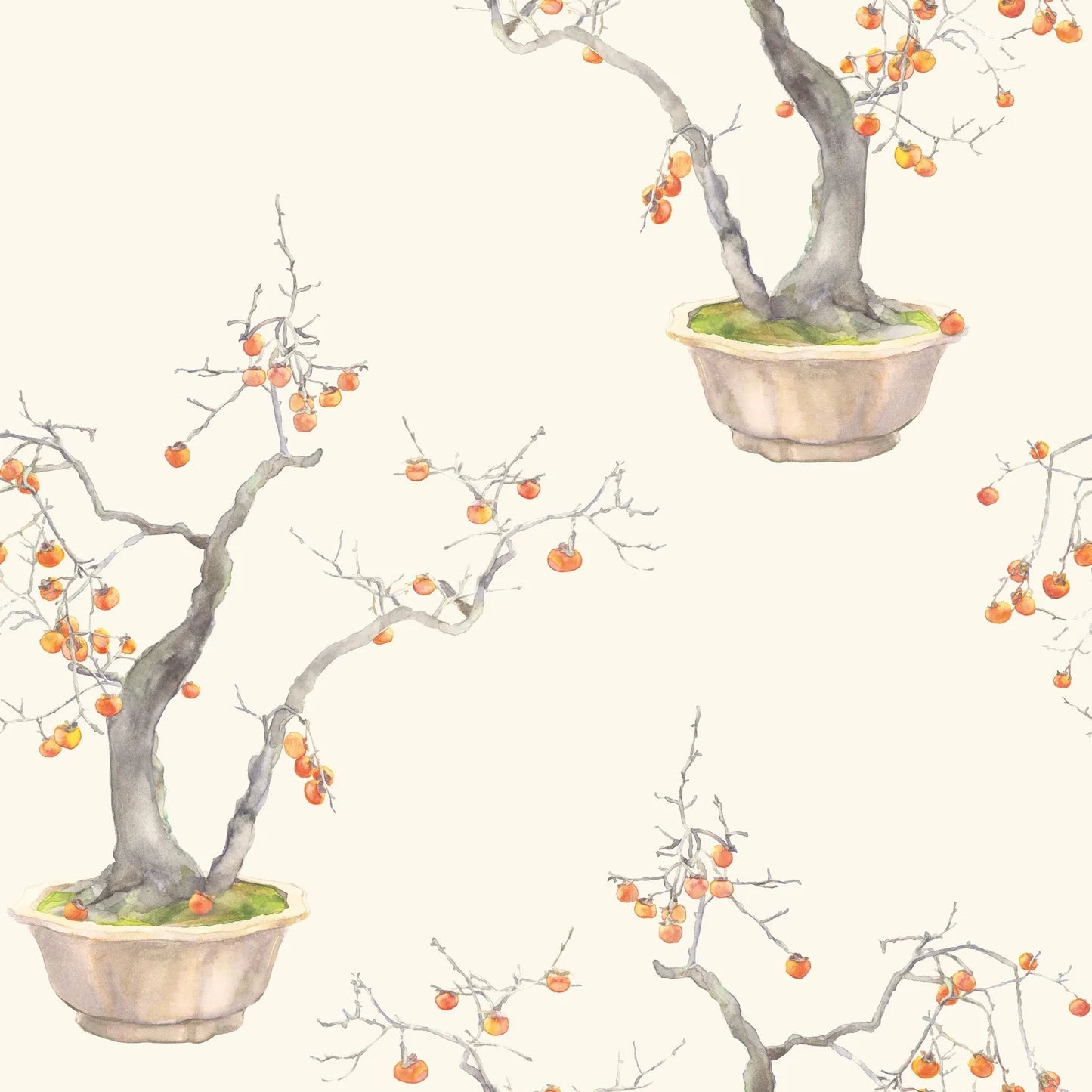 Carta da parati "Kaki Persimmon beige" - YOKU | COLE&SON