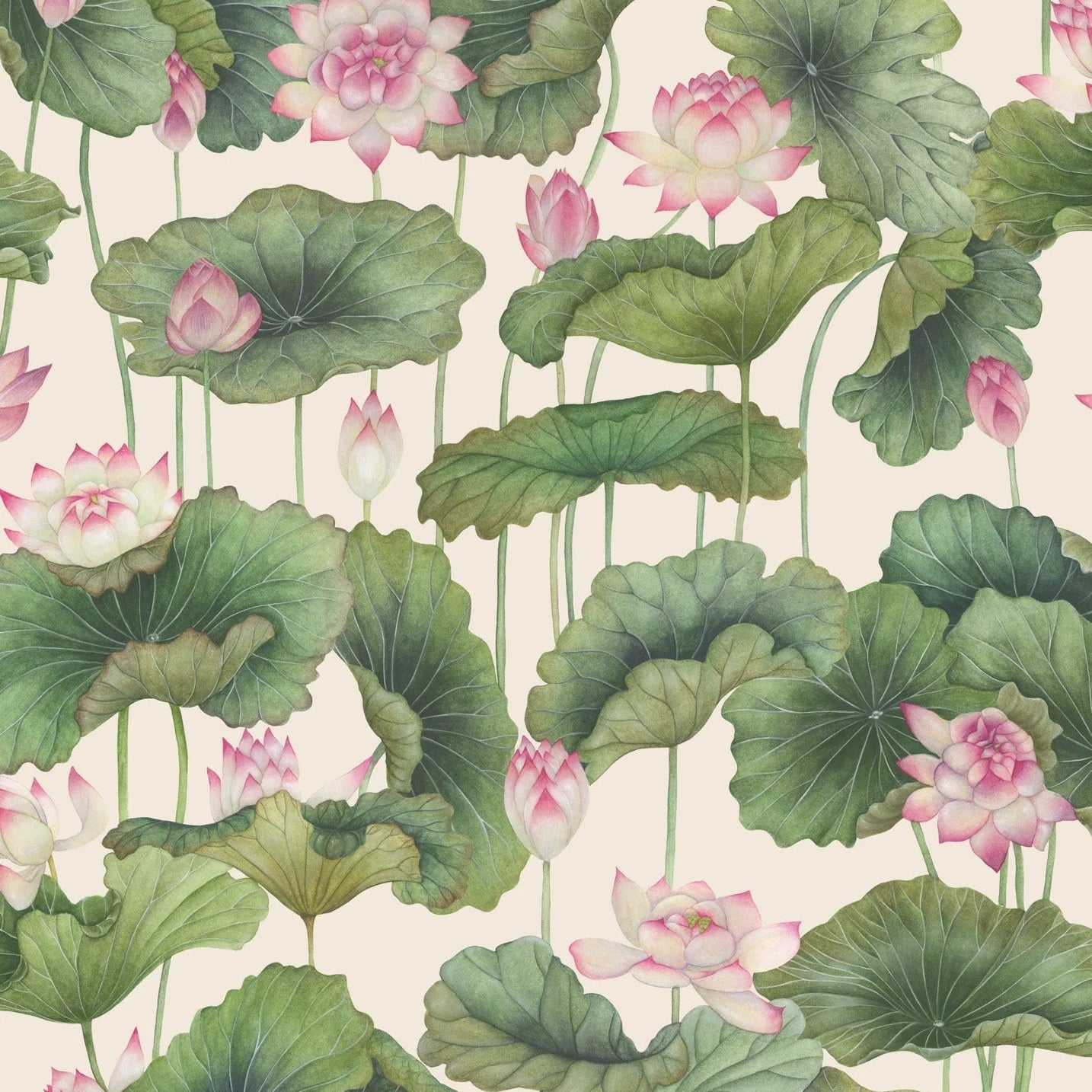 Carta da parati "Lily Lotus rosa" - YOKU | COLE&SON