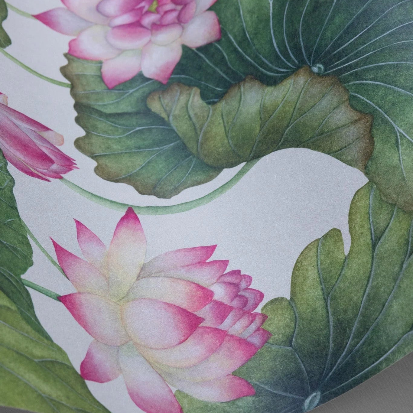 Carta da parati "Lily Lotus rosa" - YOKU | COLE&SON