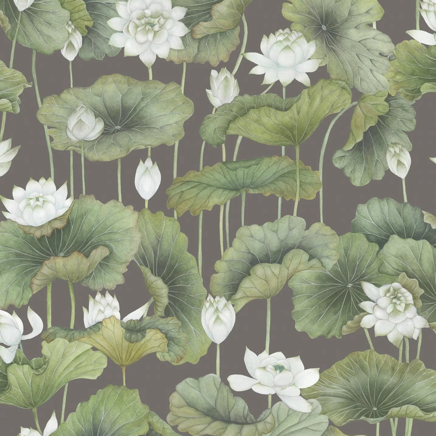 Carta da parati "Lily Lotus verde" - YOKU | COLE&SON