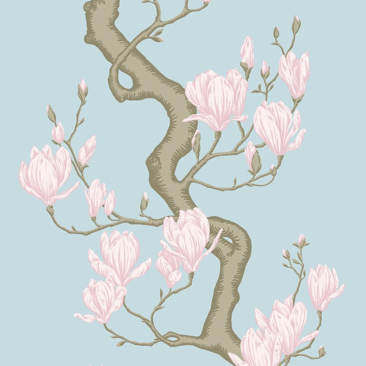 Carta da Parati “Magnolia Tree fondo celeste" | COLE & SON CLASSICS VOL. 2