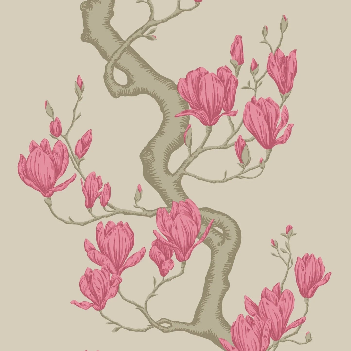 Carta da Parati “Magnolia Tree petali rossi" | COLE & SON CLASSICS VOL. 2