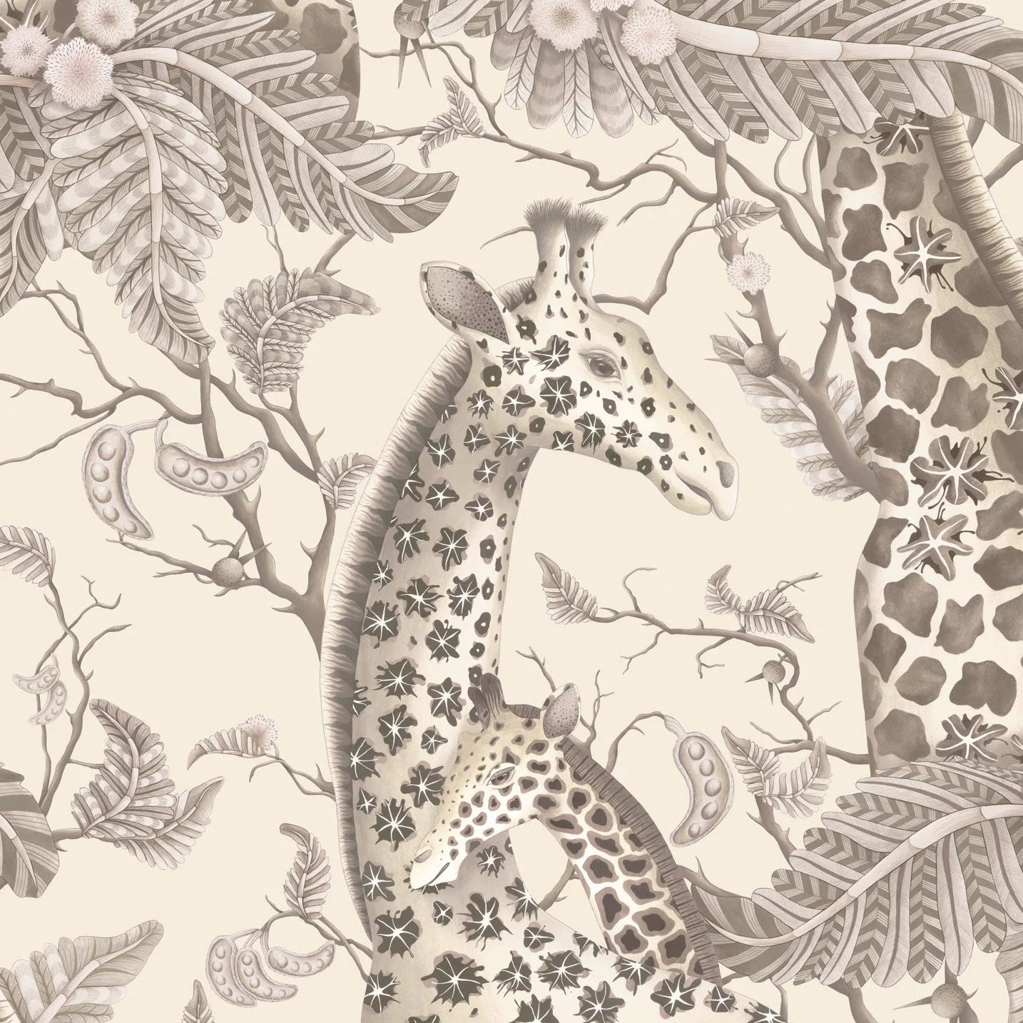 Carta da Parati “Royal Giraffe grigio" | COLE & SON ARDMORE BAOBAB