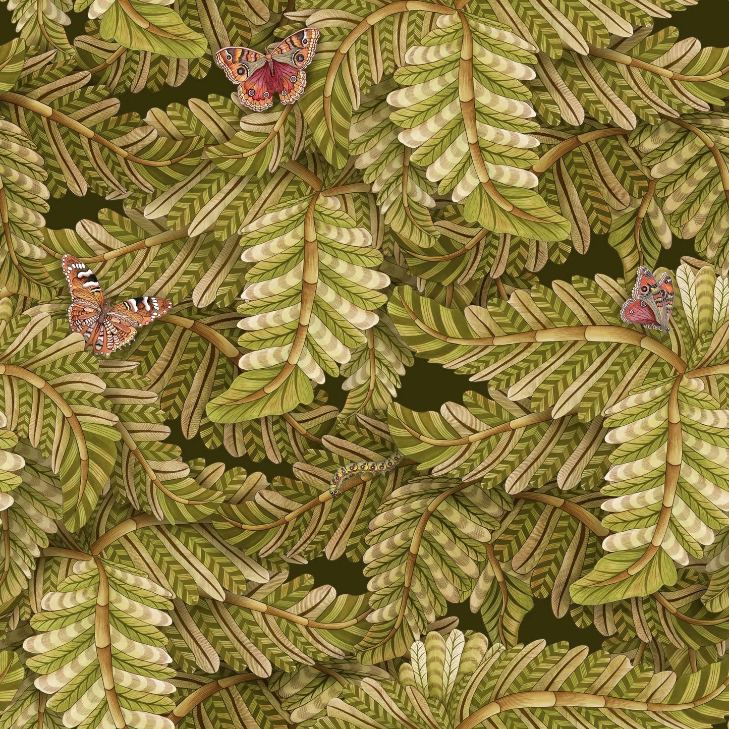 Carta da Parati “Acacia Canopy verde” | COLE & SON ARDMORE BAOBAB