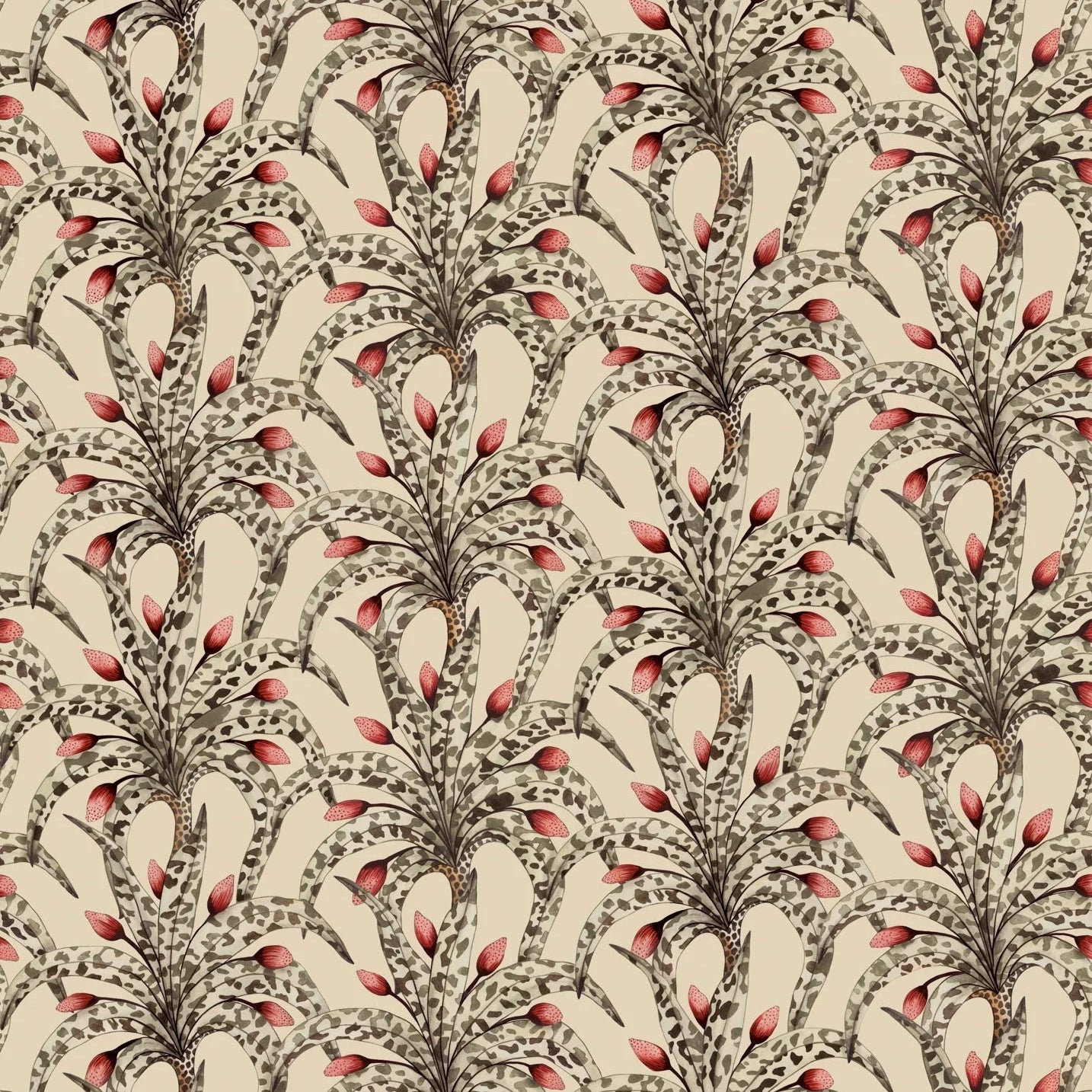 Carta da Parati “Afrika Damask beige" | COLE & SON ARDMORE BAOBAB