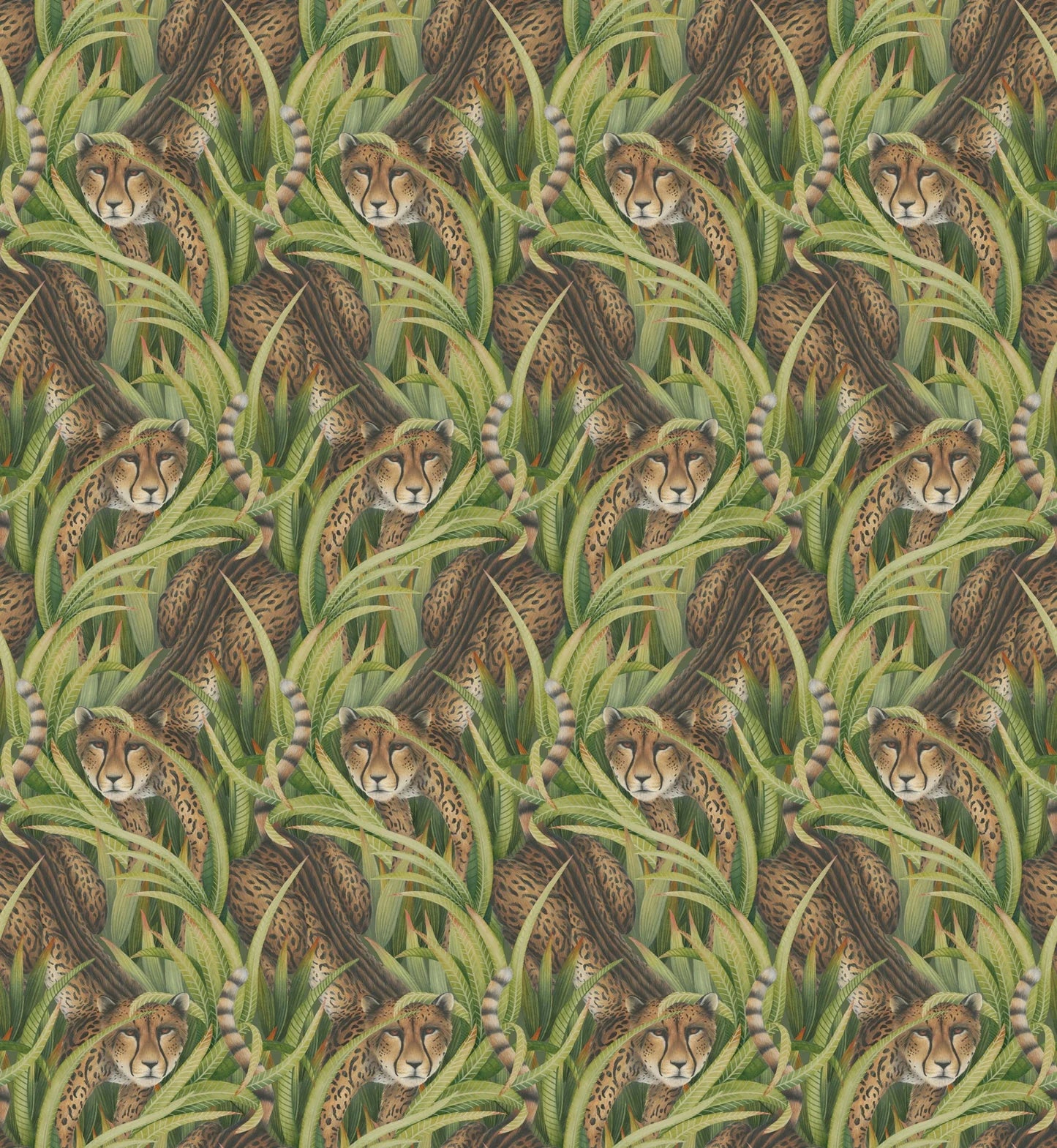 Carta da Parati “Cheetah Prowl verde" | COLE & SON ARDMORE BAOBAB
