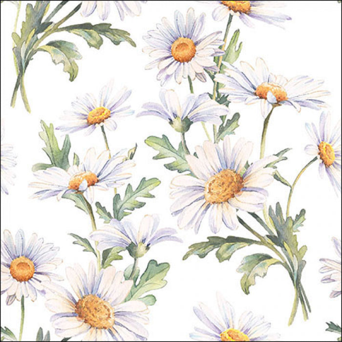 Tovaglioli in carta "Beautiful daisies white" - pacco da 20