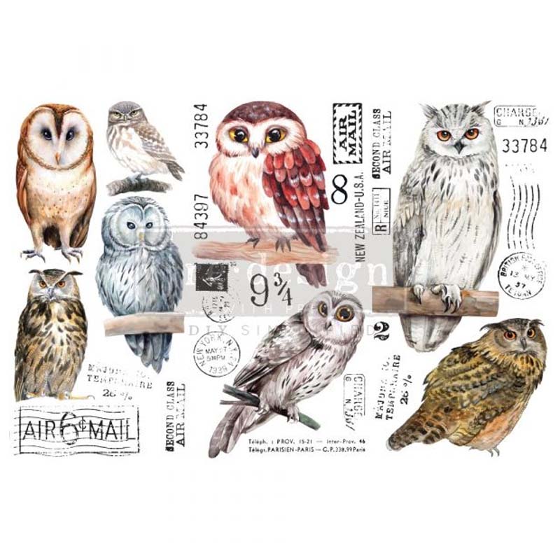 Redesign Decor Transfers “OWL” 15 x 30,5 cm