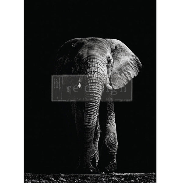 Carta da Découpage "Shadows of Wisdom " in Carta di Riso 59x84 cm