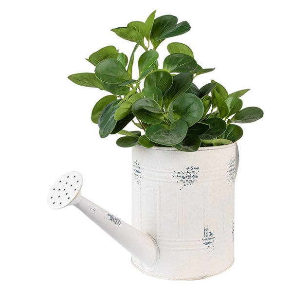 Annaffiatoio Decorativo "Barattolo" - 44x17x20 cm