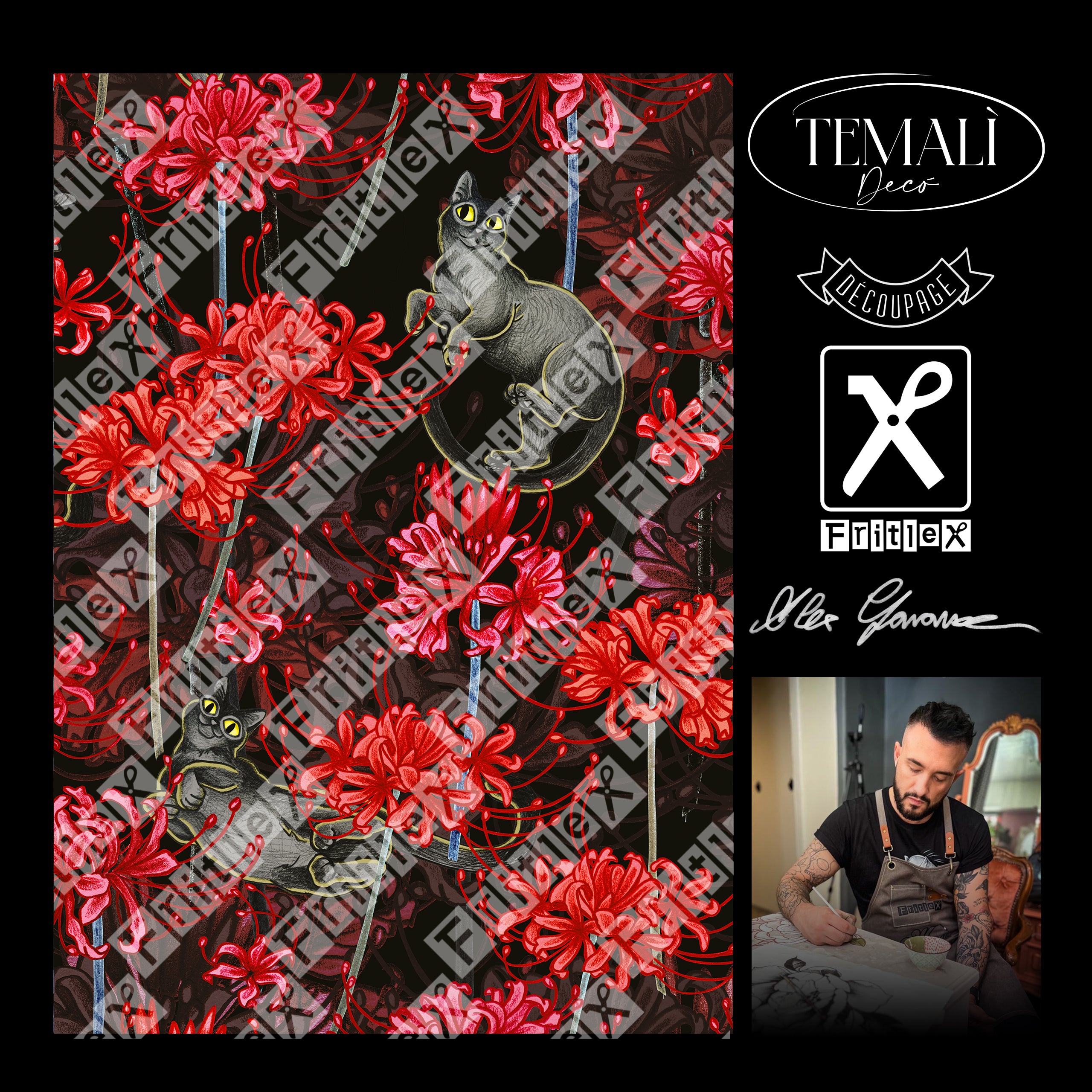 Dècoupage Collezione Alex - Lycoris (2° parte)