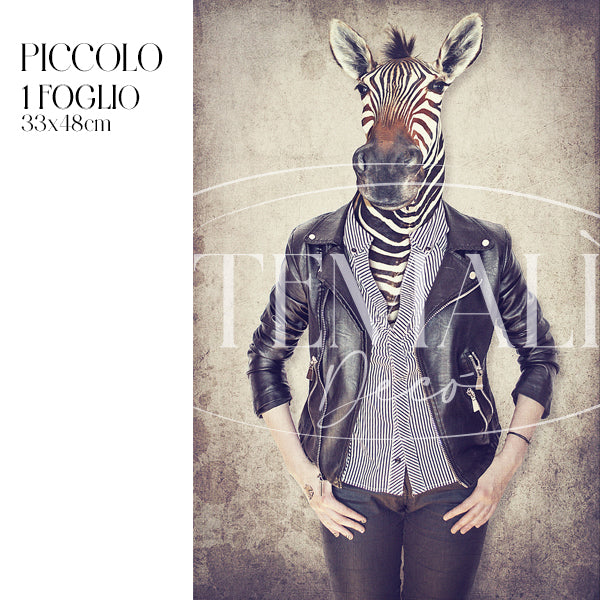 Dècoupage Fauna Pop - Zebra Rock