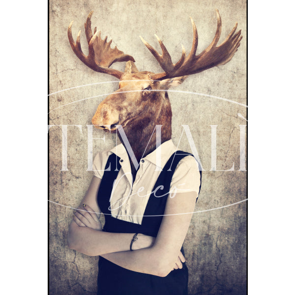 Dècoupage Fauna Pop - Alce Glam