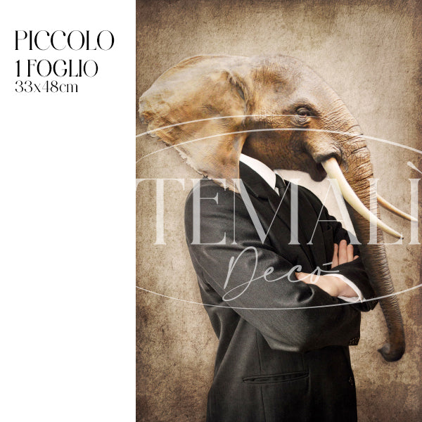 Dècoupage Fauna Pop - Elefante Cool