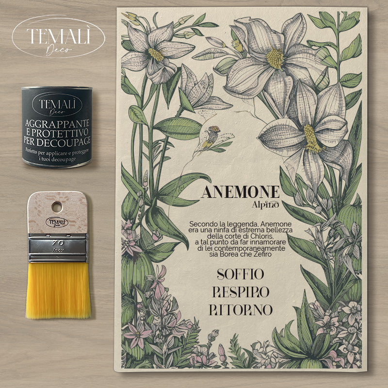 Dècoupage Botanical Vintage - Anemone Alpino