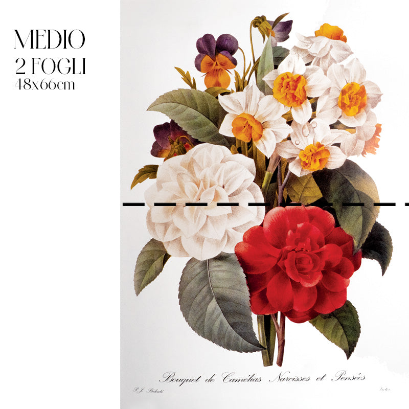 Dècoupage Botanical Vintage - Bouquet di Camelie e Narcisi