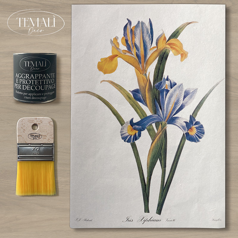 Dècoupage Botanical Vintage - Iris