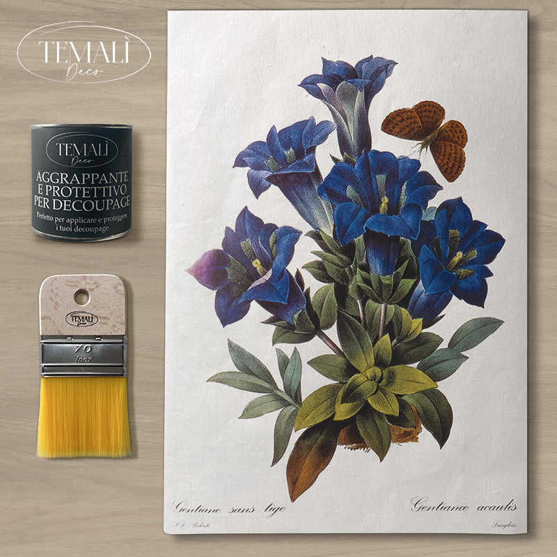 Découpage Botanical Vintage - Genziana