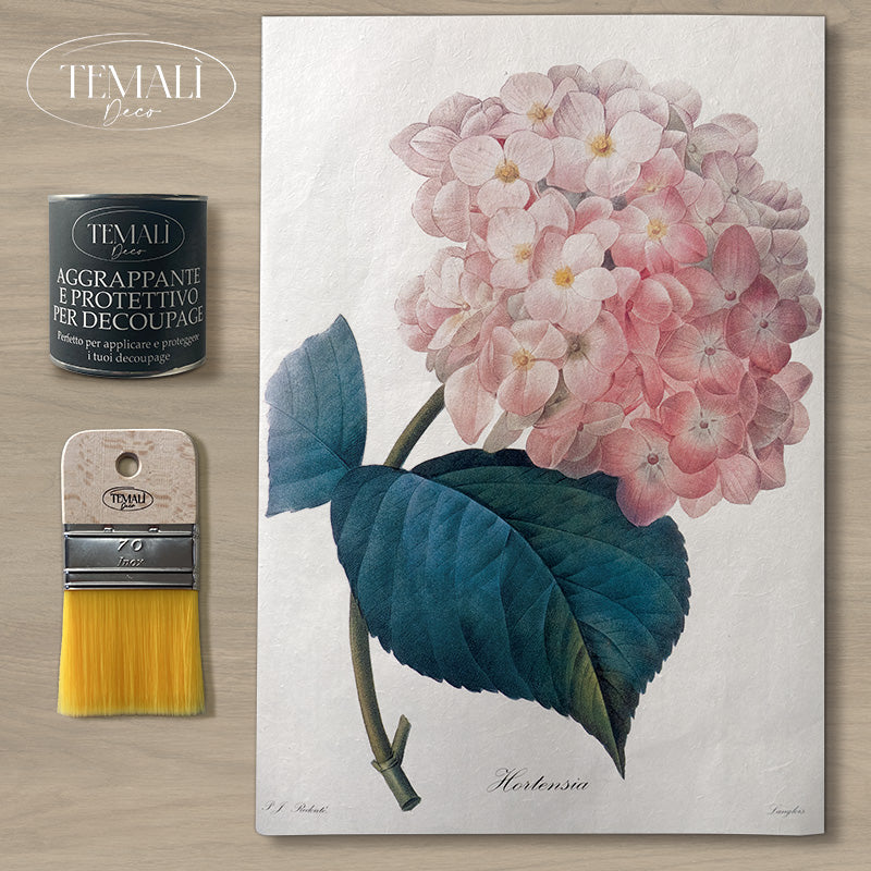 Dècoupage Botanical Vintage - Ortensia