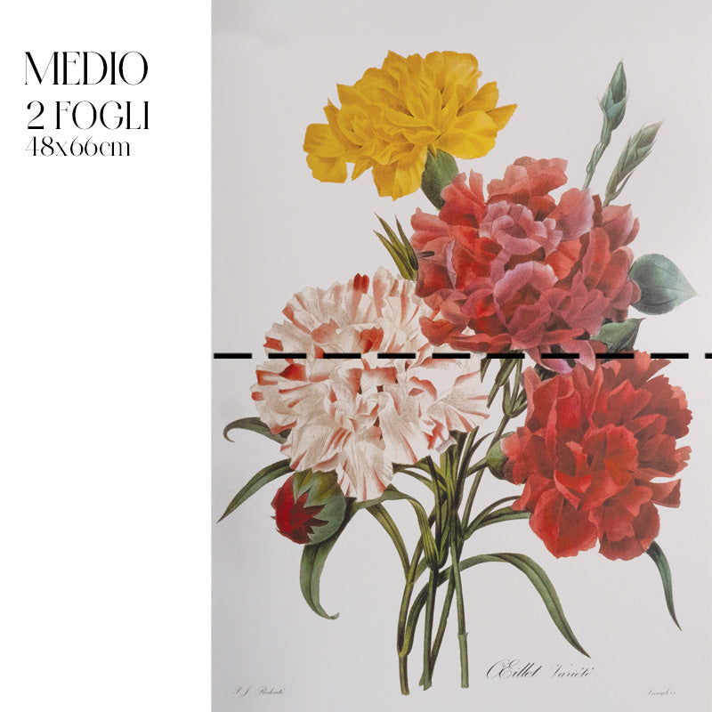 Découpage Botanical Vintage - Peonia Striata