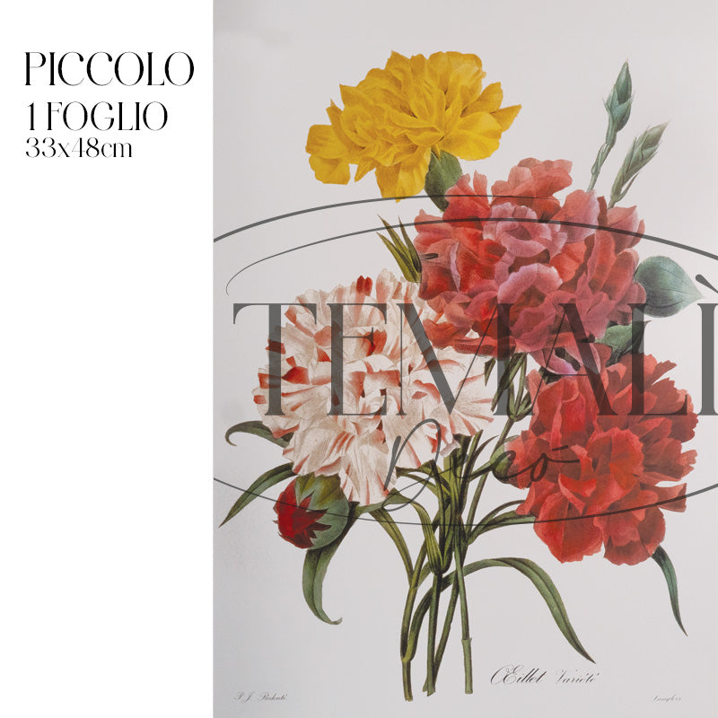 Découpage Botanical Vintage - Peonia Striata