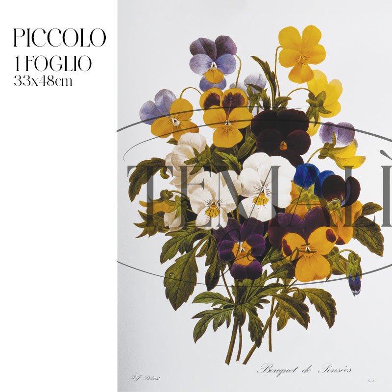 Dècoupage Botanical Vintage - Bouquet di Violette