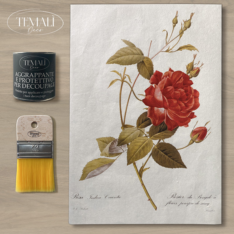 Dècoupage Botanical Vintage - Rosa Indaca
