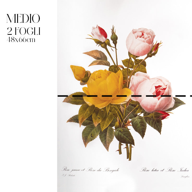 Dècoupage Botanical Vintage - Bouquet di Rose