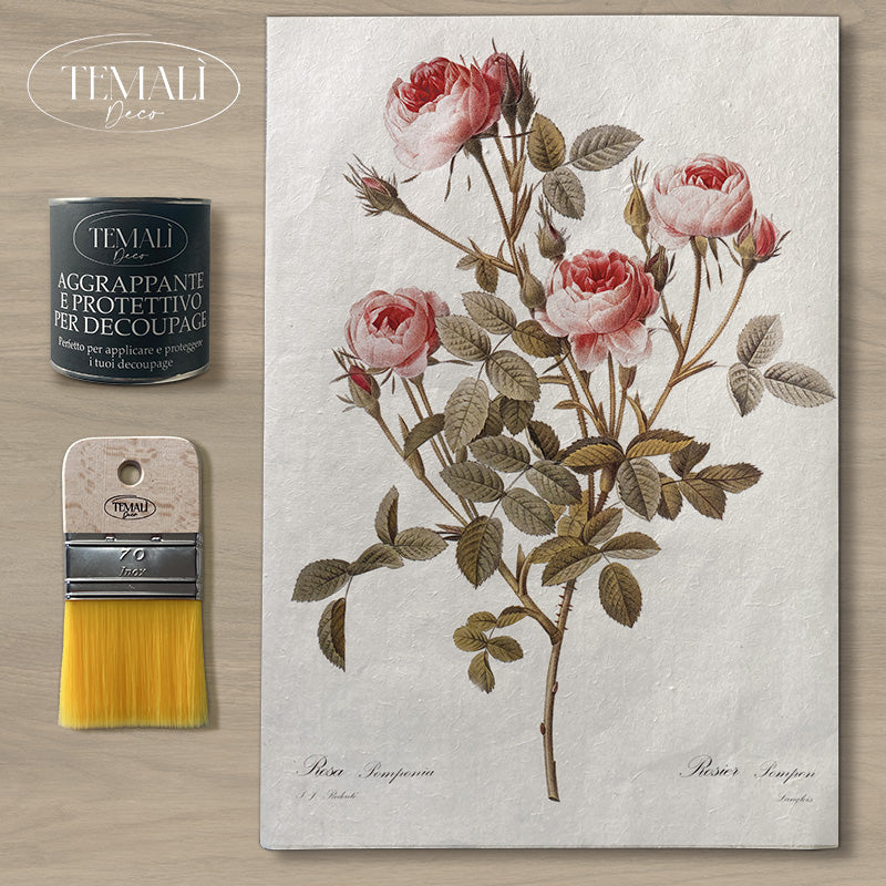 Dècoupage Botanical Vintage - Rosa Pompon