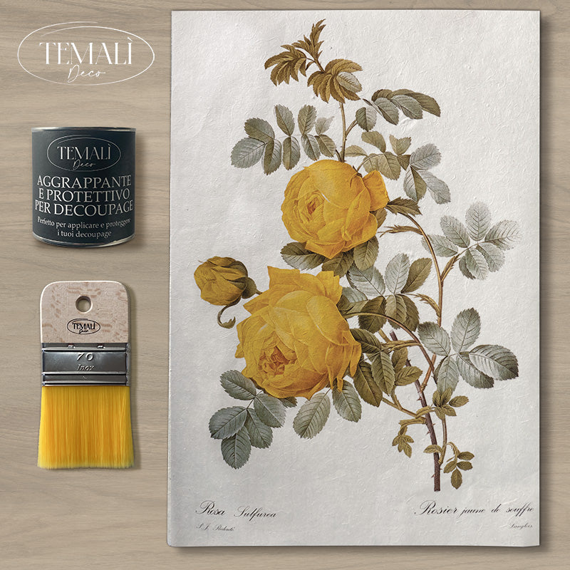 Dècoupage Botanical Vintage - Rosa Sulfurea