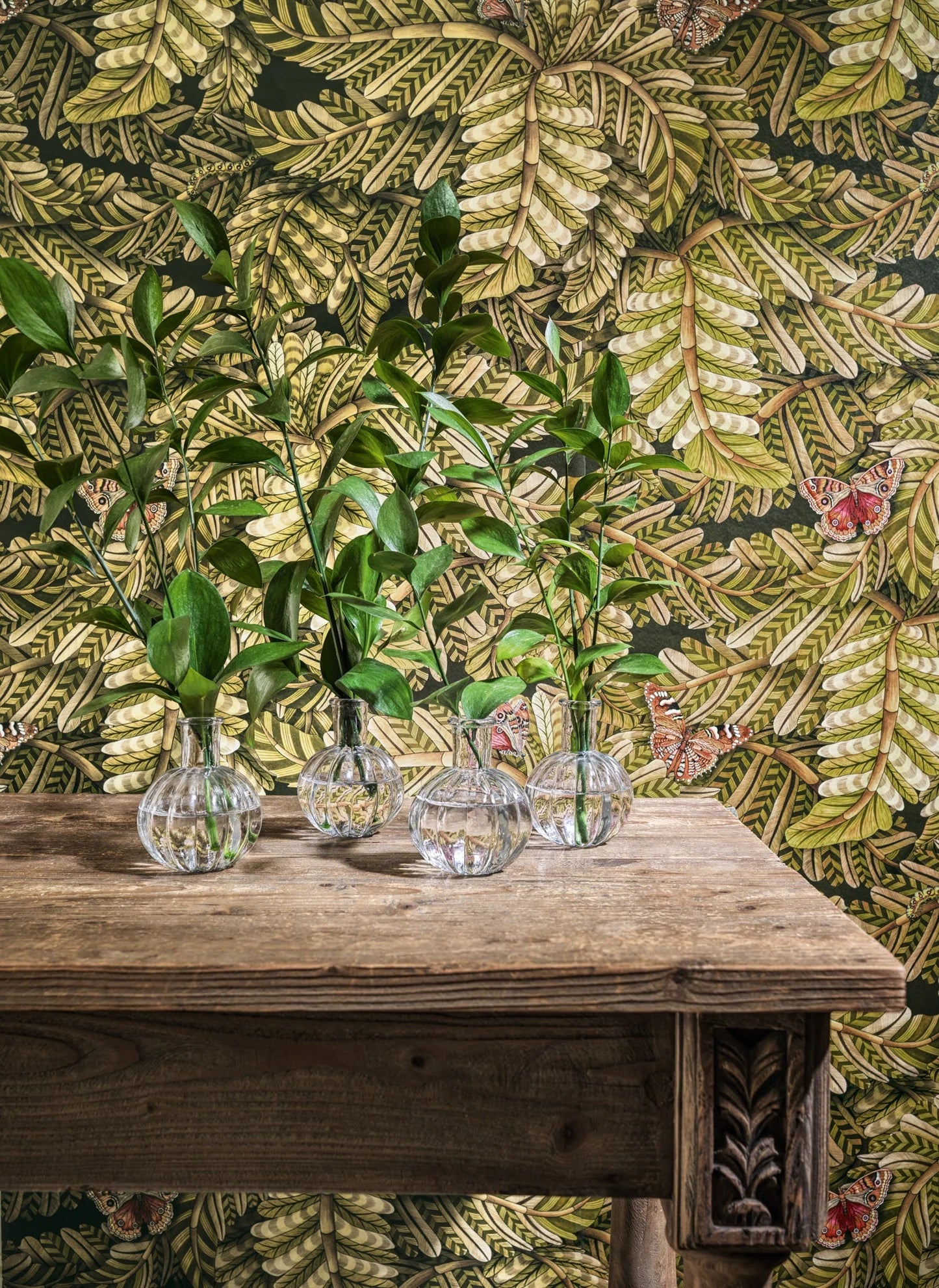 Carta da Parati “Acacia Canopy verde” | COLE & SON ARDMORE BAOBAB