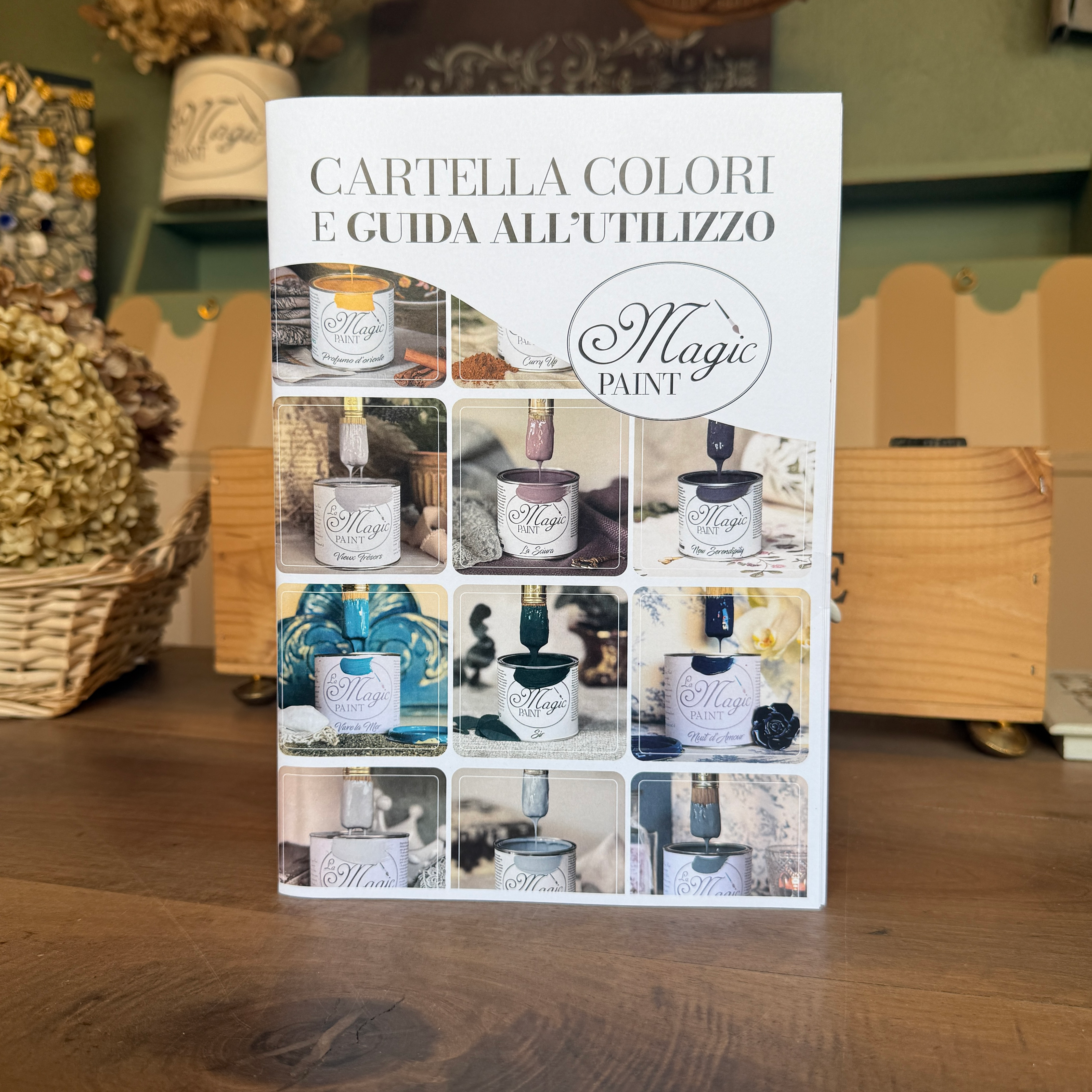 Cartella Colori PAINT e Guida all'Utilizzo