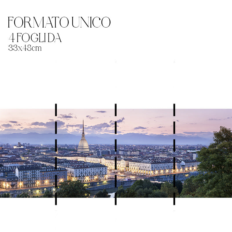 Dècoupage Città - Torino