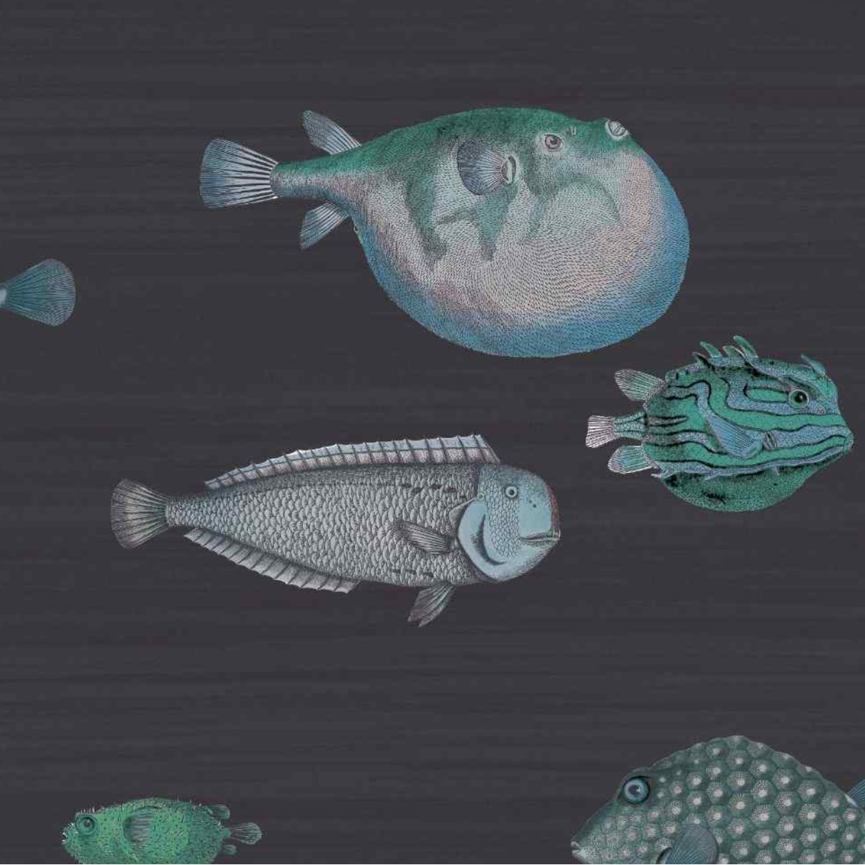 Carta da Parati "Acquario blu" Fornasetti | COLE & SON