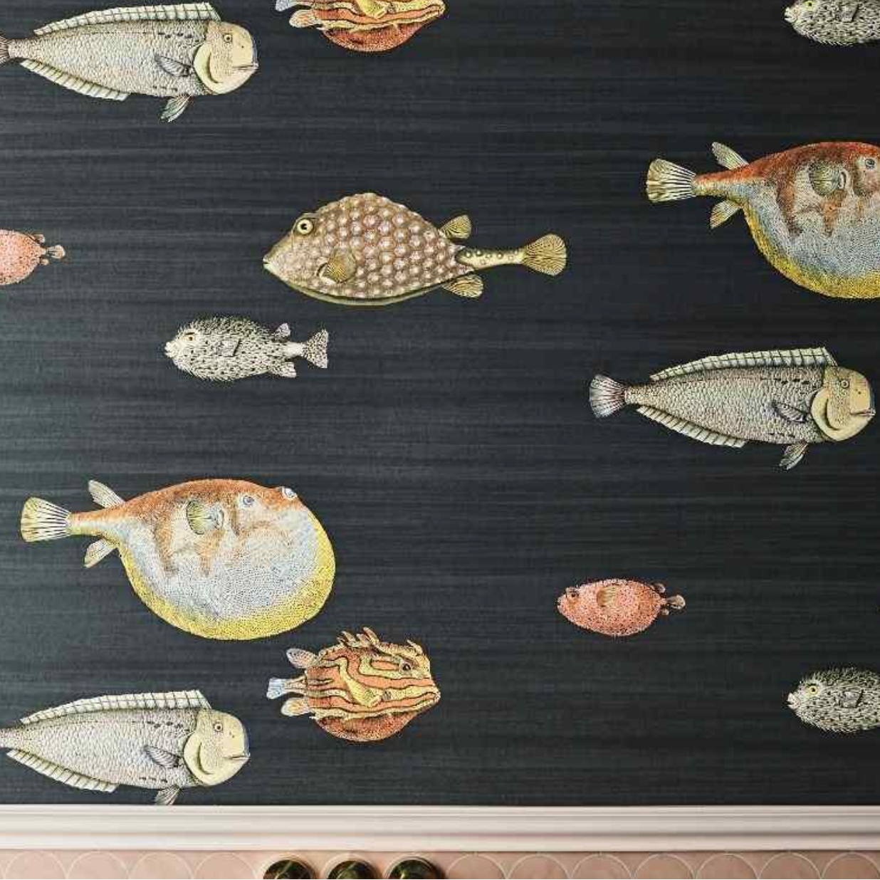 Carta da Parati "Acquario nero" Fornasetti | COLE & SON