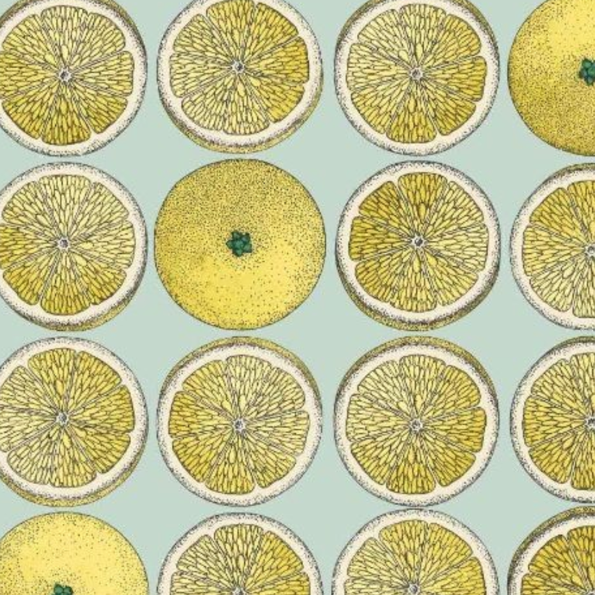 Carta da Parati "Arance gialle" Fornasetti | COLE & SON