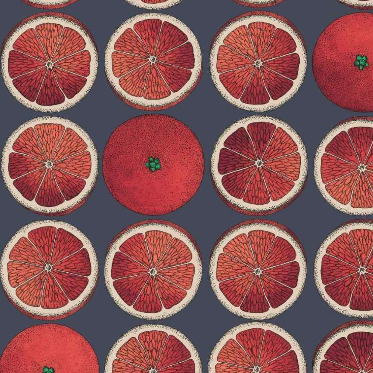 Carta da Parati "Arance rosse" Fornasetti | COLE & SON