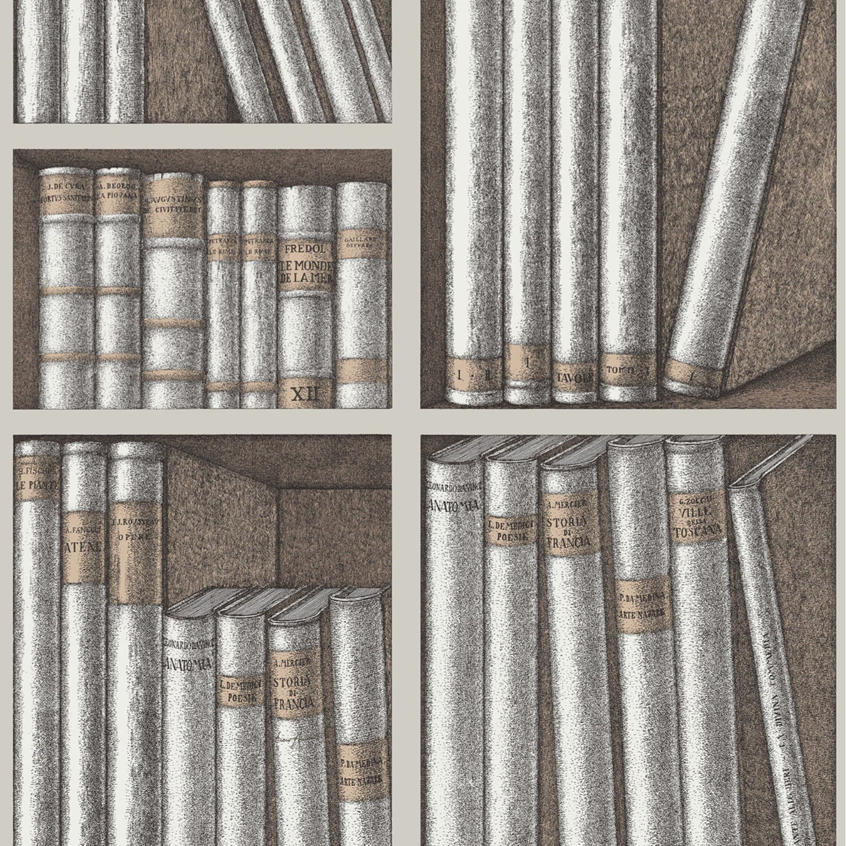 Carta da Parati "Ex libris grigio" Fornasetti | COLE & SON