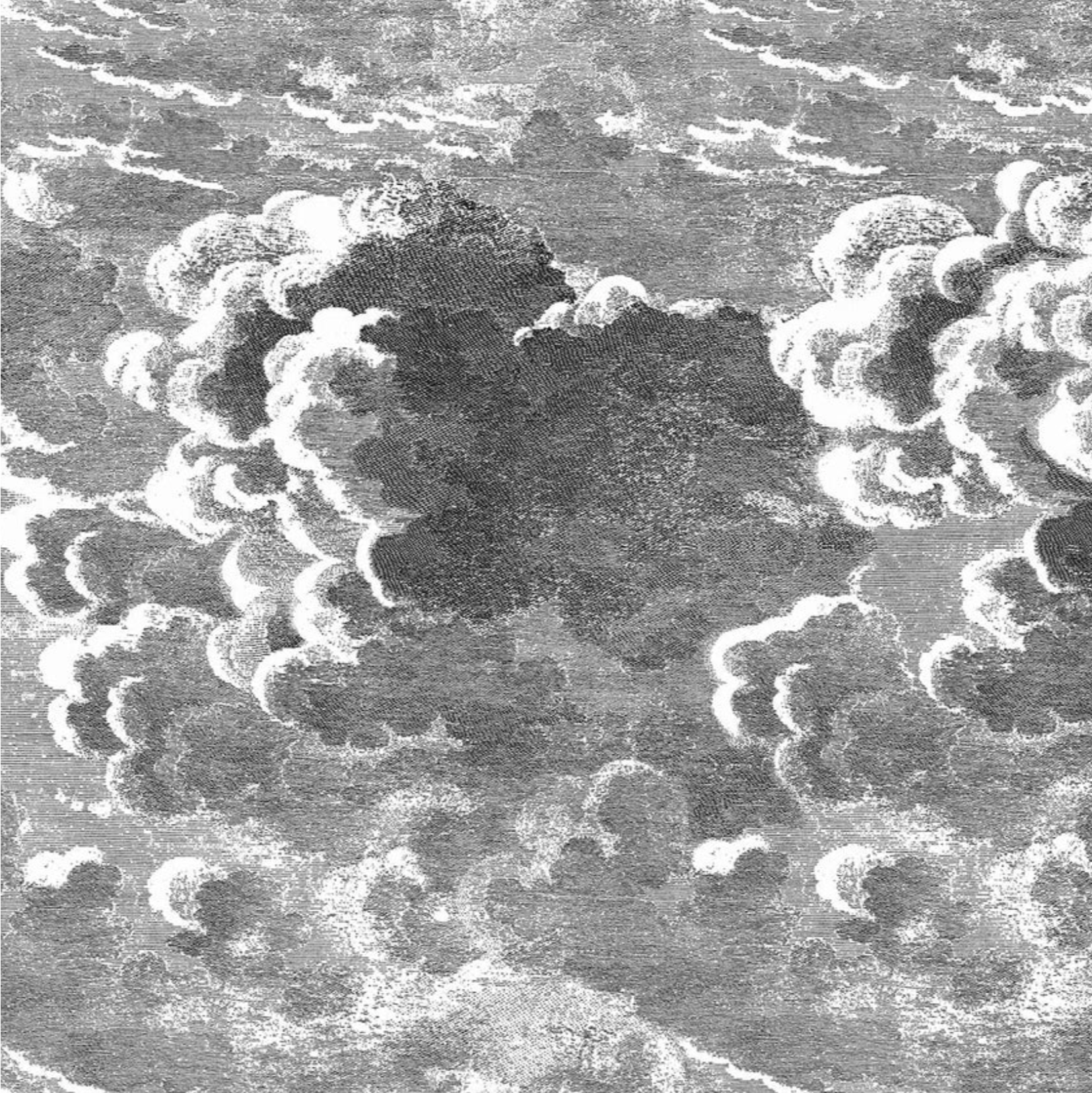 Carta da Parati "Nuvolette grigio scuro" (2 rotoli) Fornasetti | COLE & SON