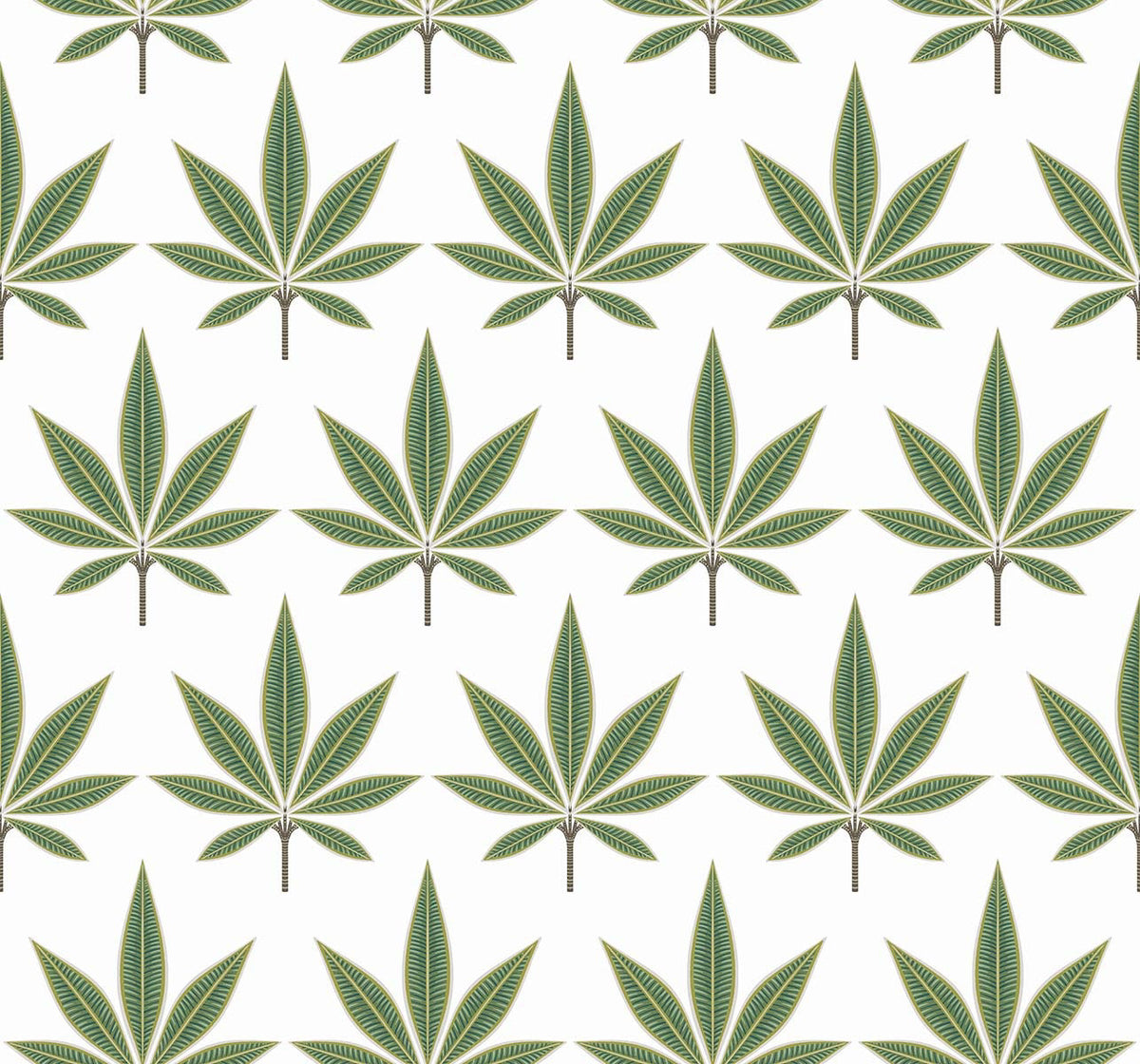 Carta da parati "Bicton Bianco/Verde" - WALLQUEST | MULBERRY TREE
