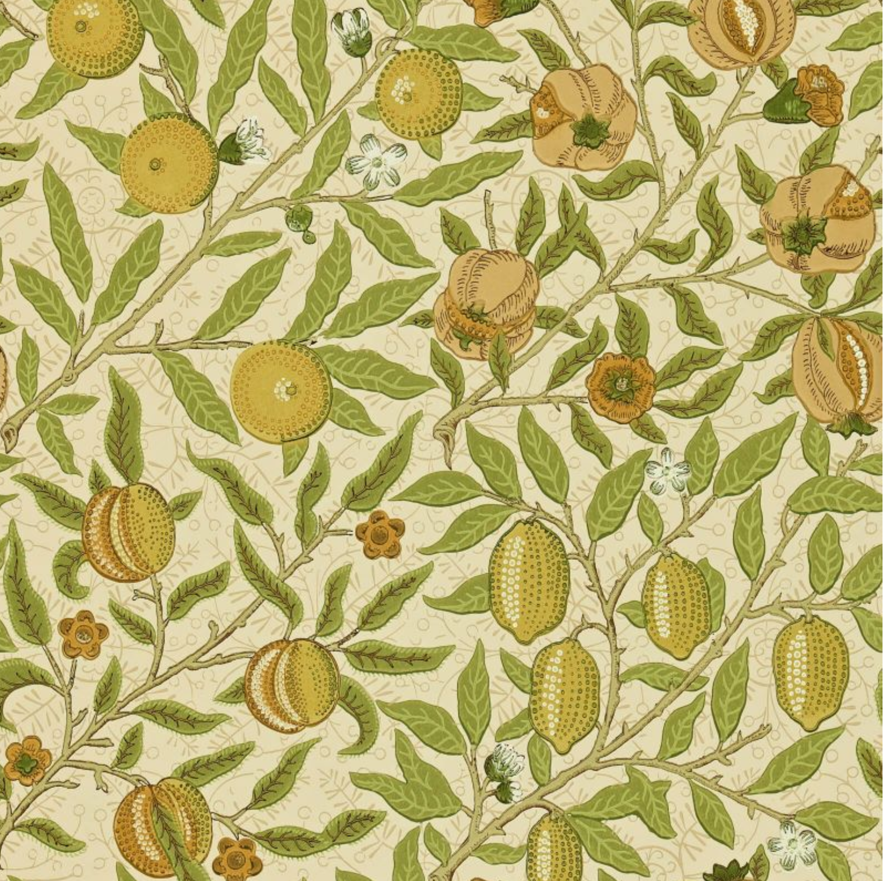 Carta da parati “Fruit” verde, catalogo Morris & Friends a metraggio o rotolo
