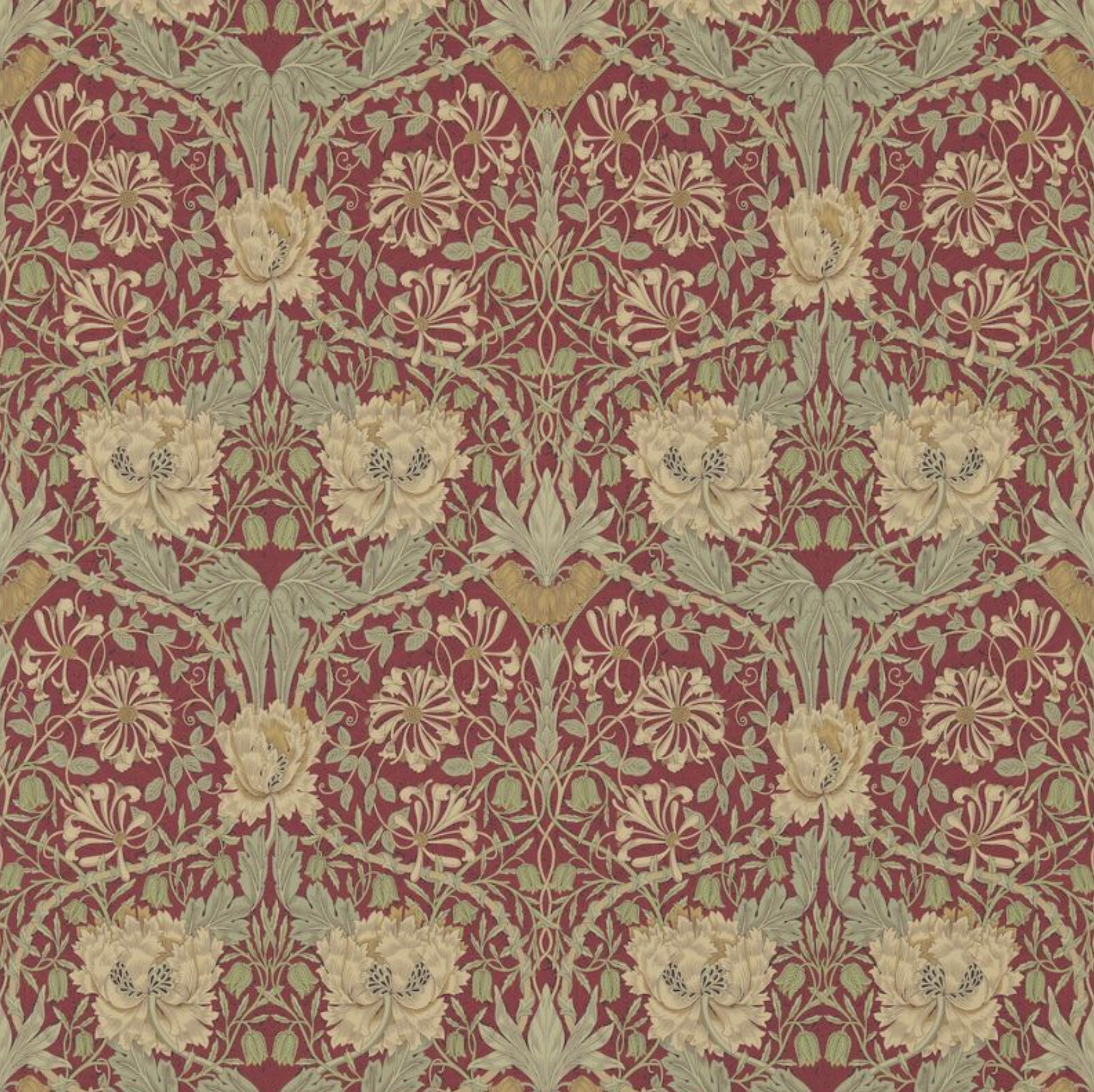 Carta da parati “Honeysuckle & Tulip” rossa, catalogo Morris & Friends a metraggio o rotolo