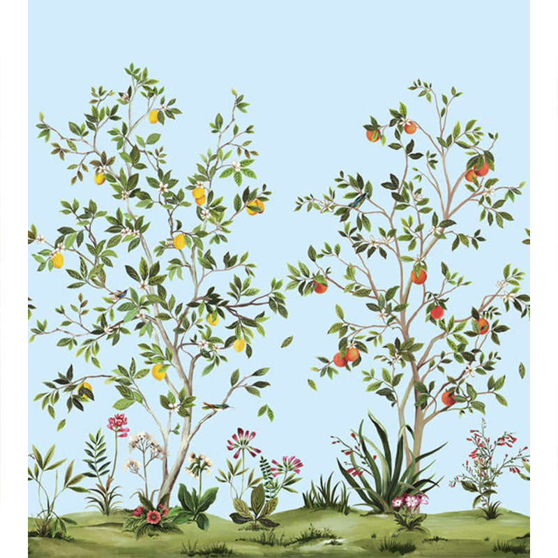 Carta da parati - "Citrus Grove Mural - Carolina Blue" | WALLQUEST - DAISY BENNETT