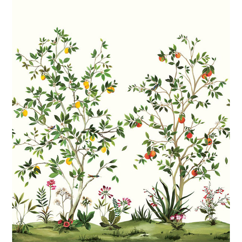 Carta da parati - "Citrus Grove Mural - Porcelain" | WALLQUEST - DAISY BENNETT