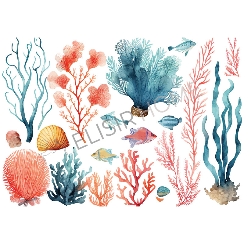 Stampa Trasferibile “BARRIERA CORALLINA” 28×40 cm