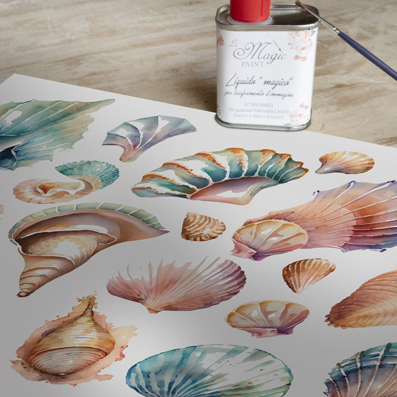 Stampa Trasferibile “CONCHIGLIE MERAVIGLIA” 28×40 cm