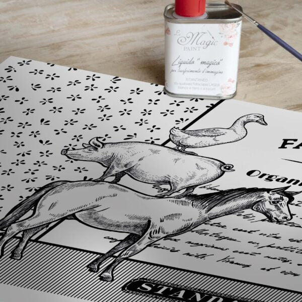 Stampa Trasferibile “COUNTRY, FARM FRESH ORIGINAL” 28×40 cm