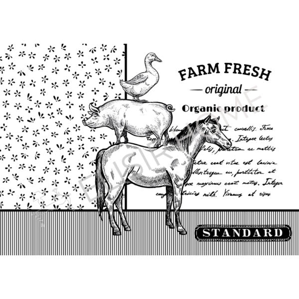 Stampa Trasferibile “COUNTRY, FARM FRESH ORIGINAL” 28×40 cm